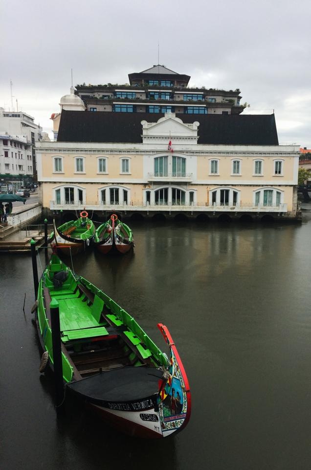 Guia brasileiro em Aveiro Portugal