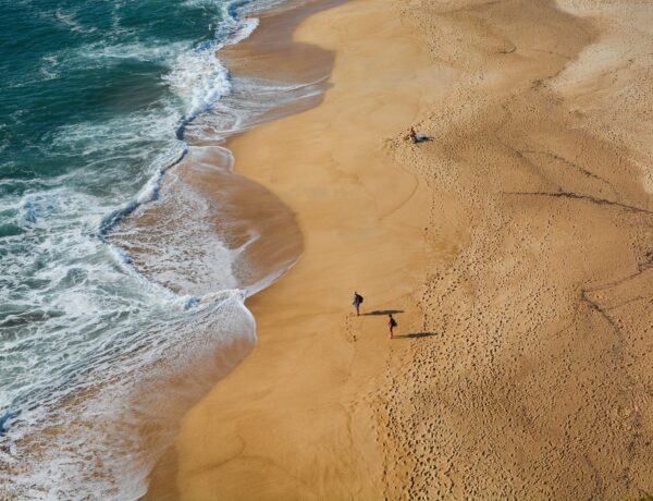 Guia brasileiro na Comporta